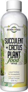 cactus plant food