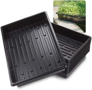 growing trays without holes