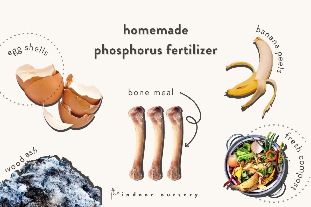 homemade phosphorus fertilizer ingredients