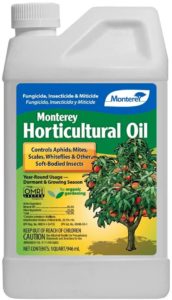 horticulture oil consentrate