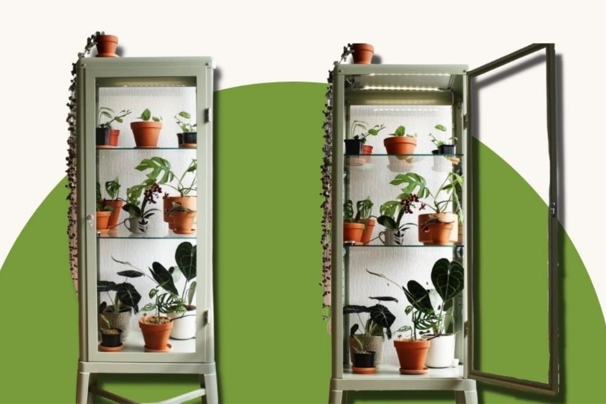 5 step IKEA greenhouse cabinet hack for an indoor jungle