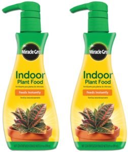 miracle gro indoor plant food