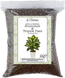 tropical plant potting soil