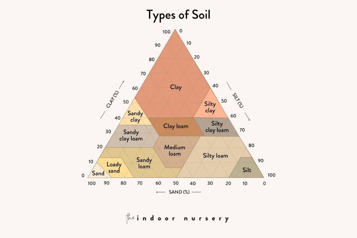 4 types of soil and what they’re good for (according to science)
