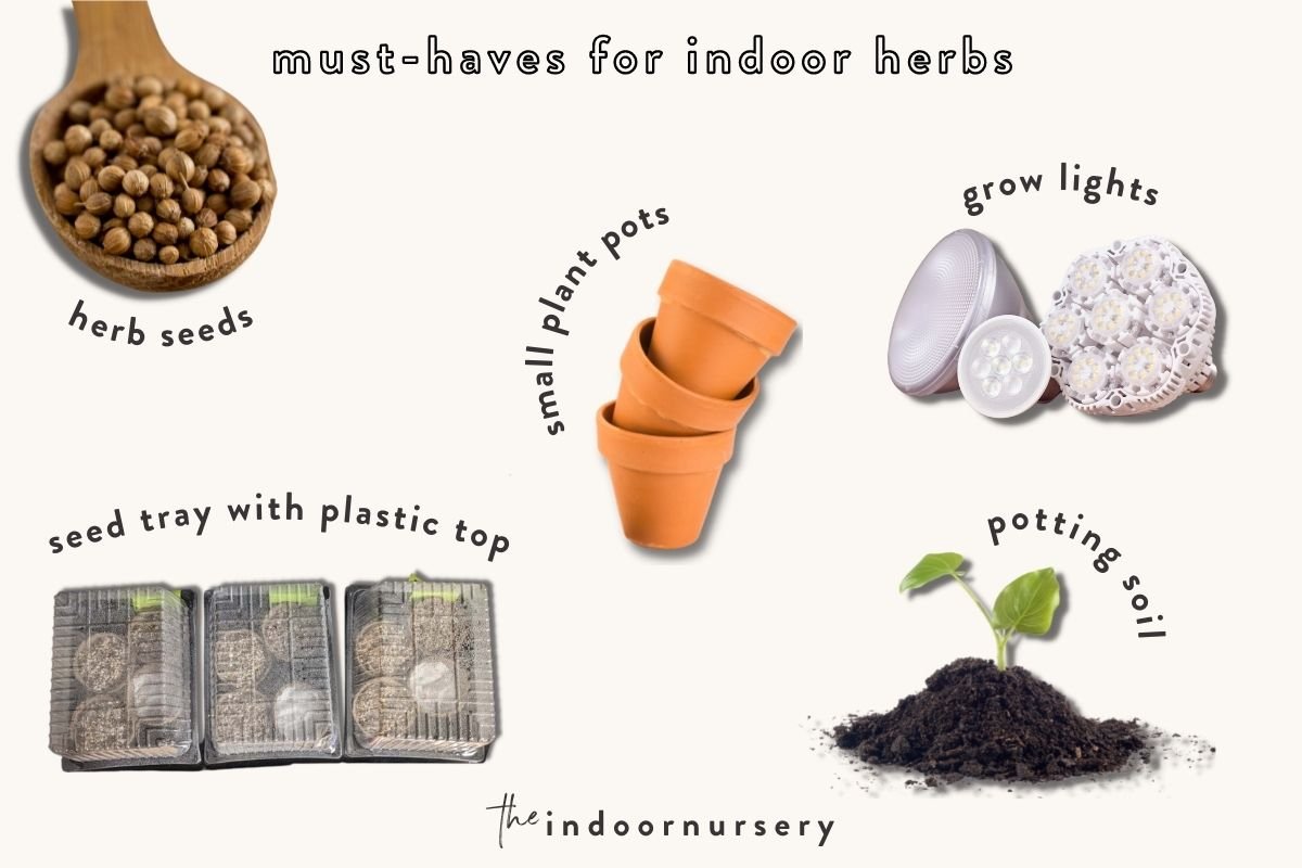 how to grow herbs from seeds The Indoor Nursery