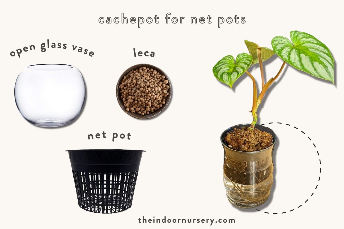 cachepot net pot