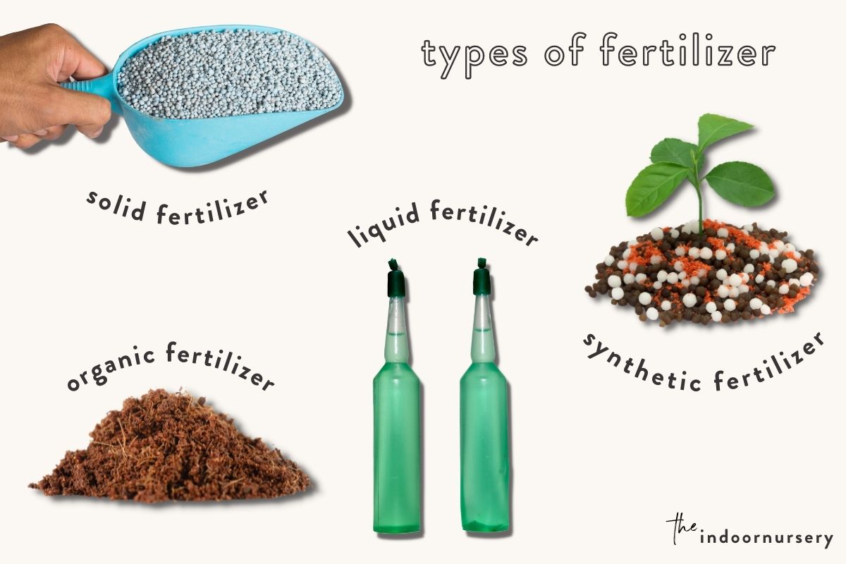 types of fertilizer