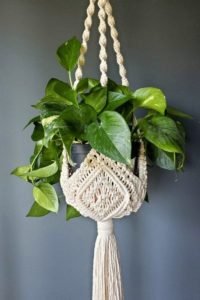 pothos in macrame plant hanger