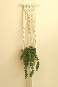 macrame wall hanging with plant