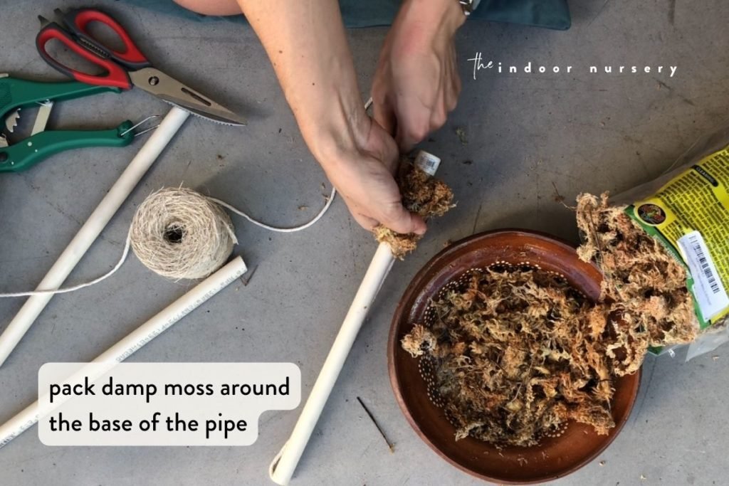 how to make a self watering moss pole in 15 minutes