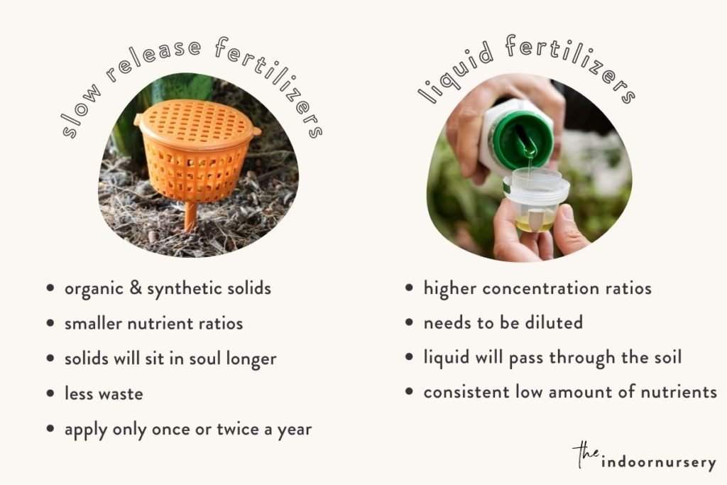 here’s how much fertilizer per plant to use