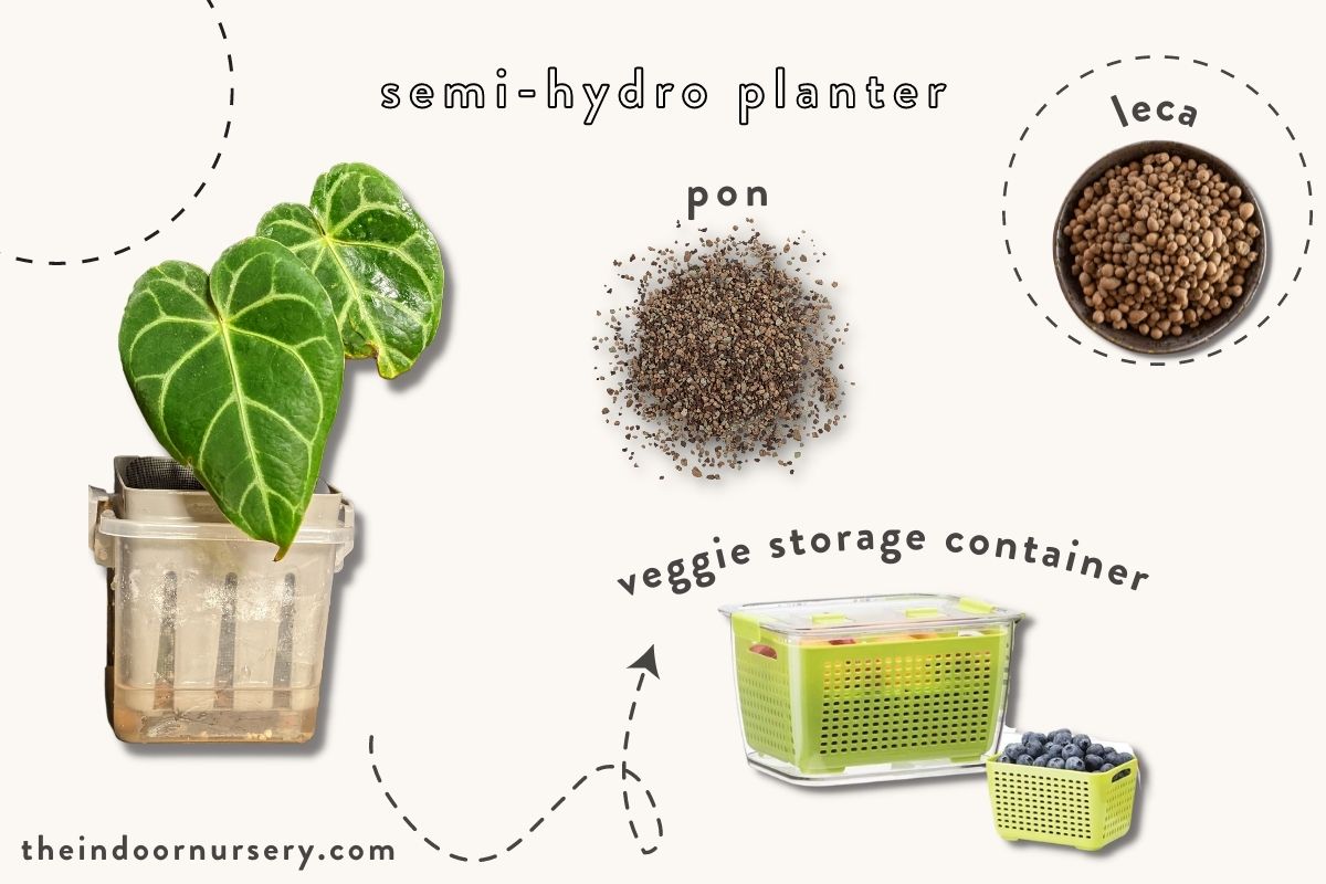 veggie saver planter
