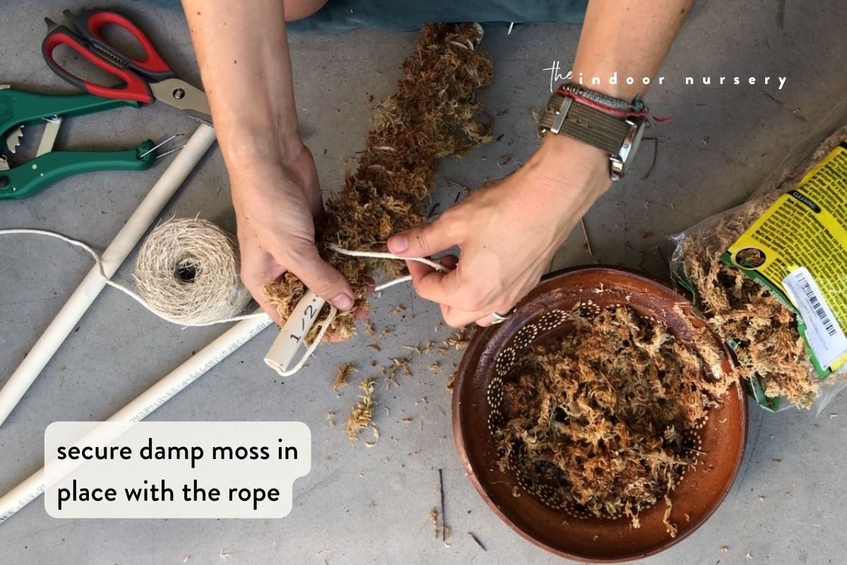 secure damp moss in place with a rope