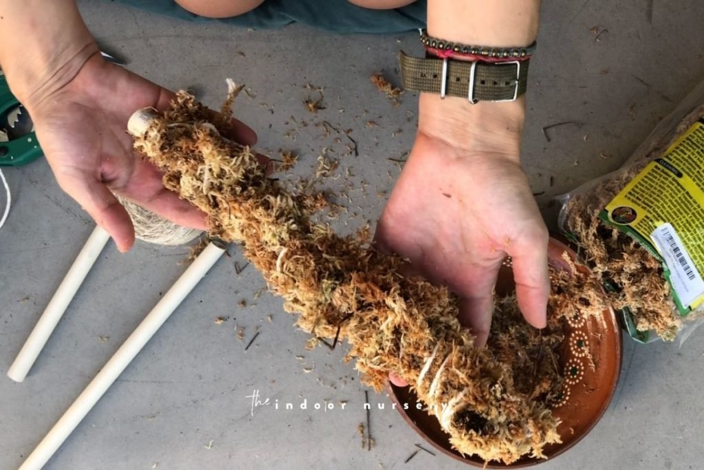 how to make a self watering moss pole in 15 minutes