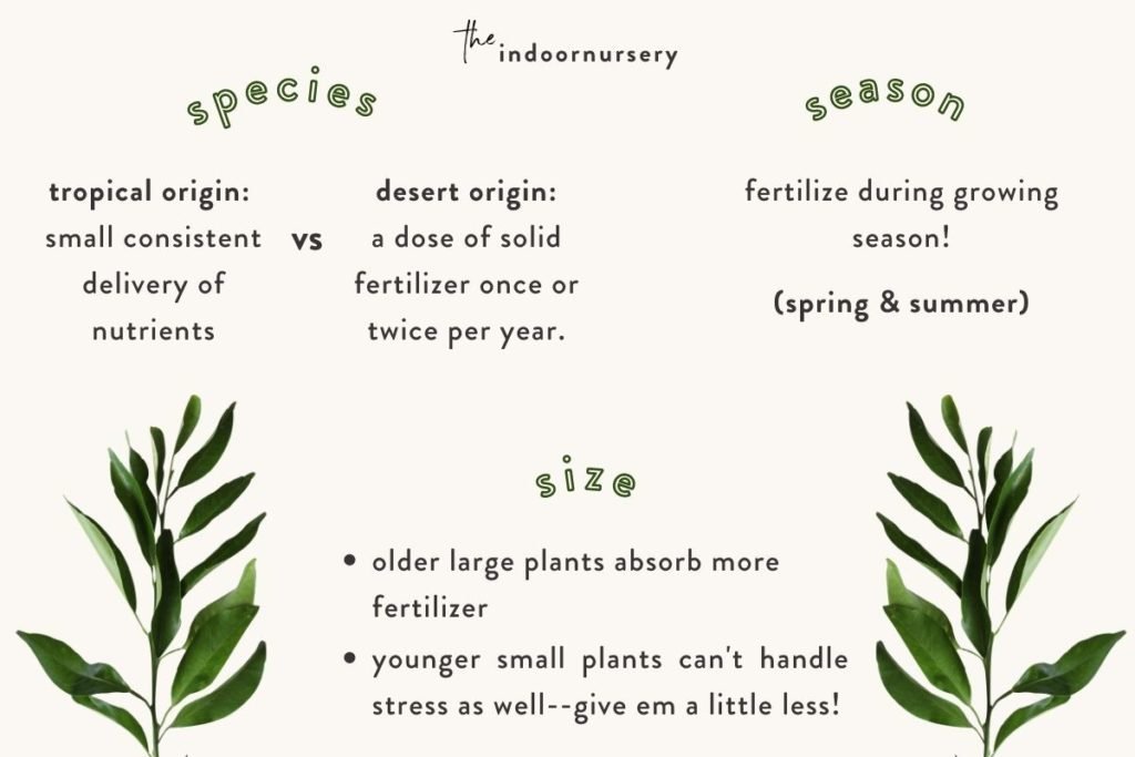 here’s how much fertilizer per plant to use