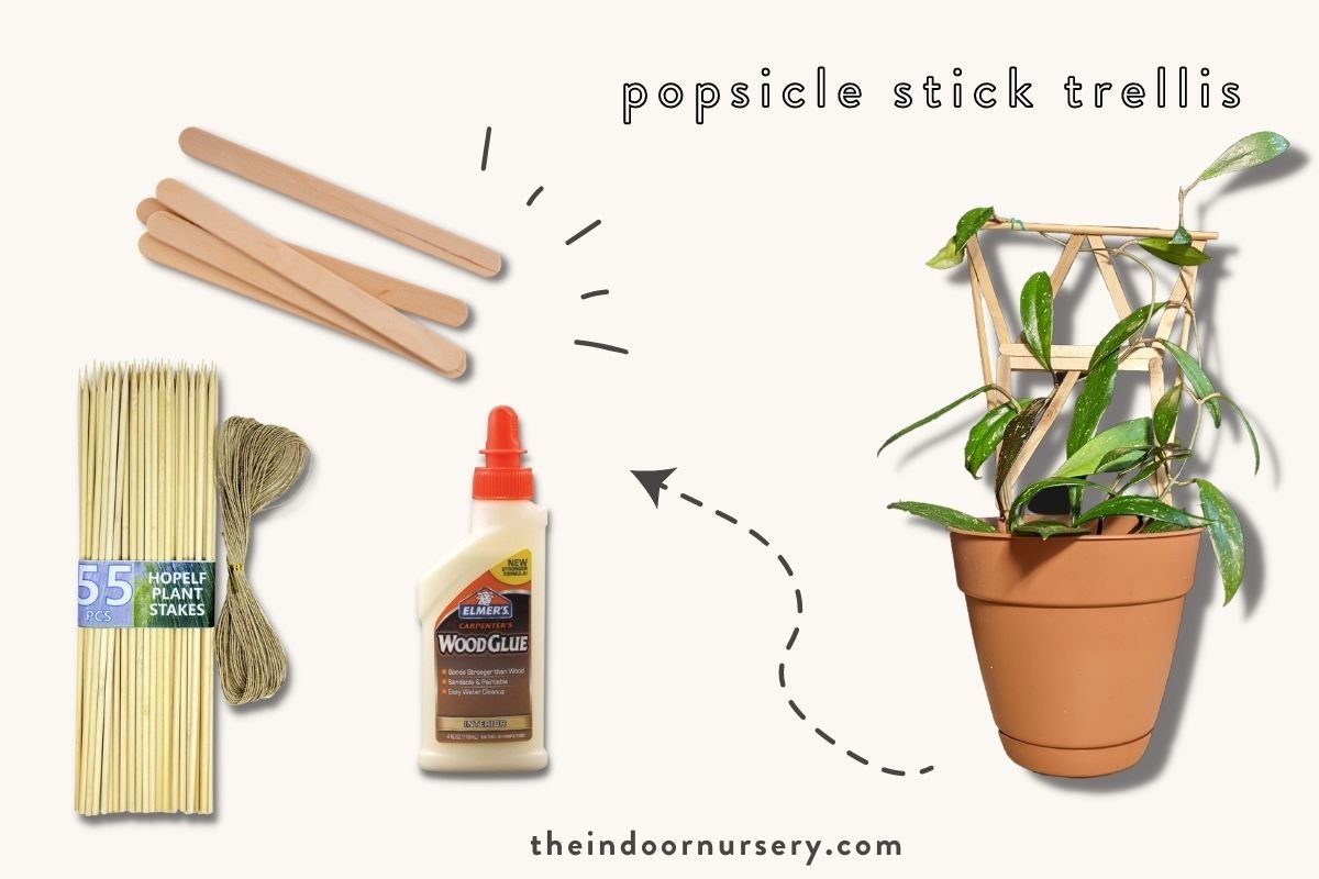 popsicle trellis