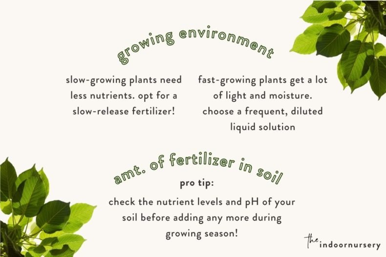 here’s how much fertilizer per plant to use