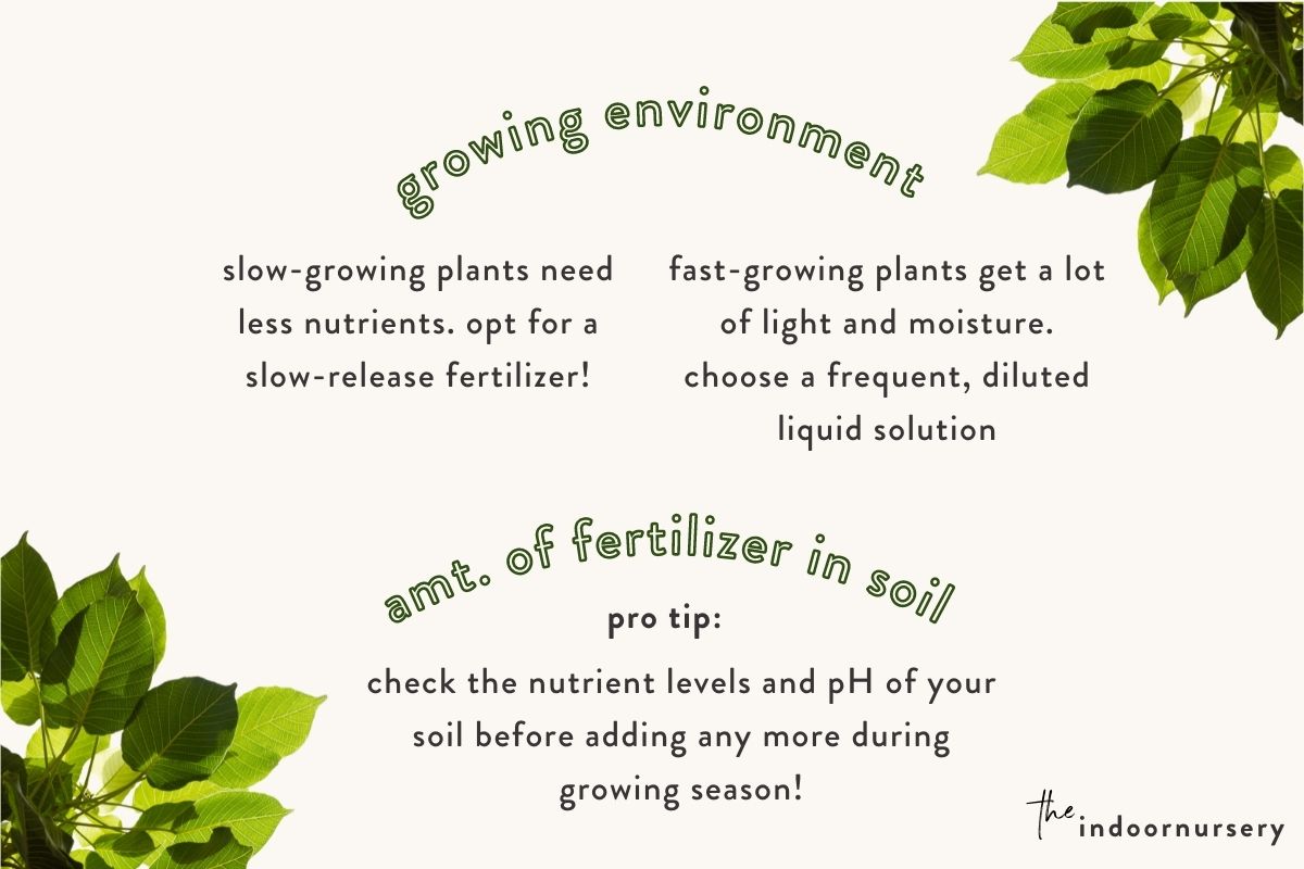factors that affect how much fertilizer to give a plant
