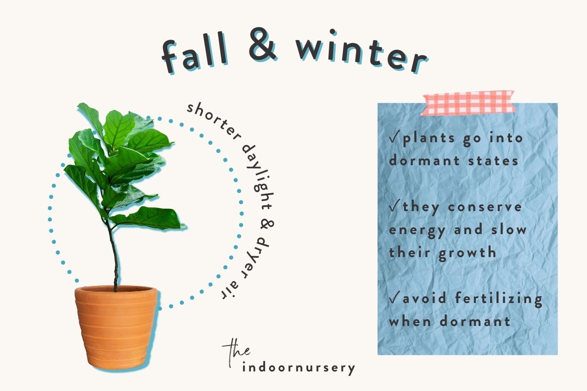 fall & winter