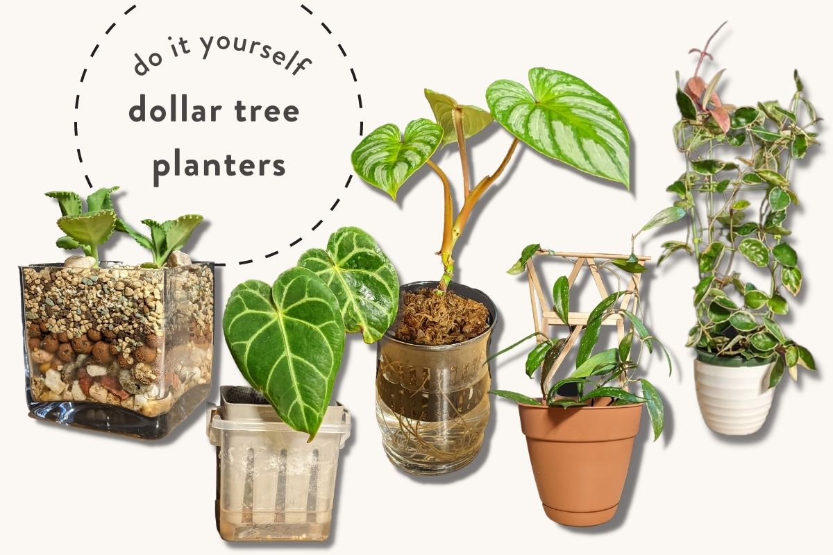5 diy dollar tree planters that you can make right now