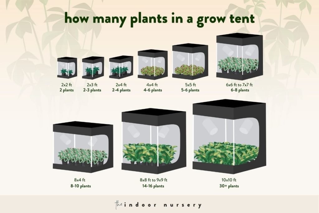 The 12 best grow tents for indoor plants