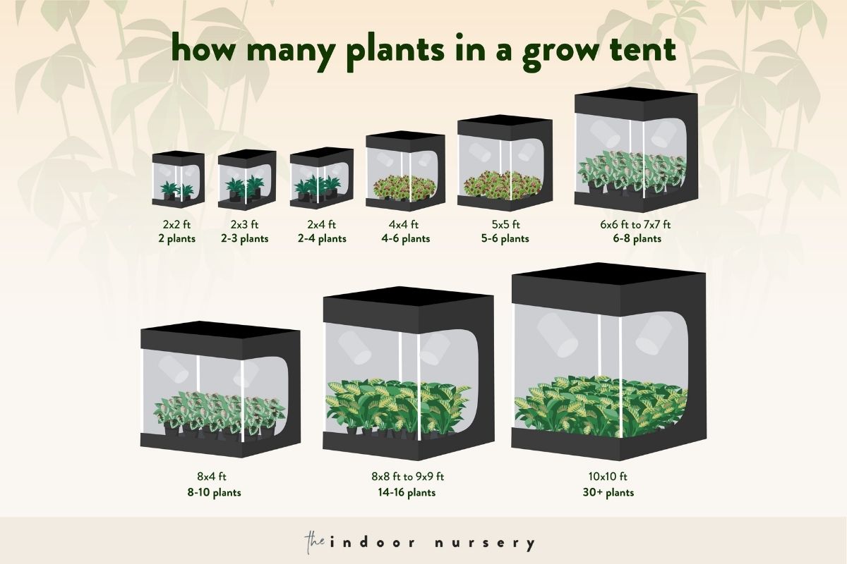 how many plants in a grow tent