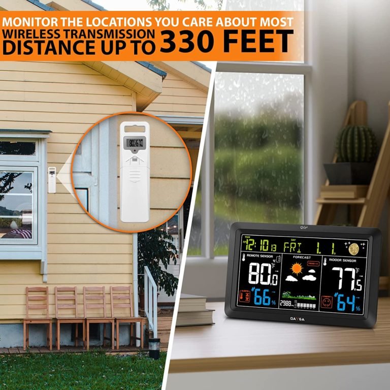 7 Best Hygrometers For Indoor Plants