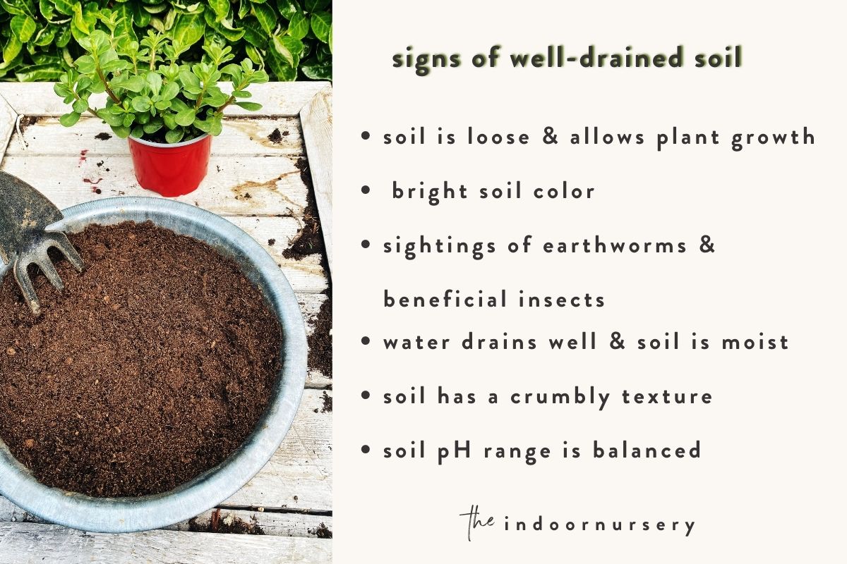 Signs of Well-Drained Soil