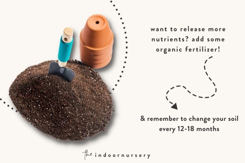 Soil draining How to make your soil drain better