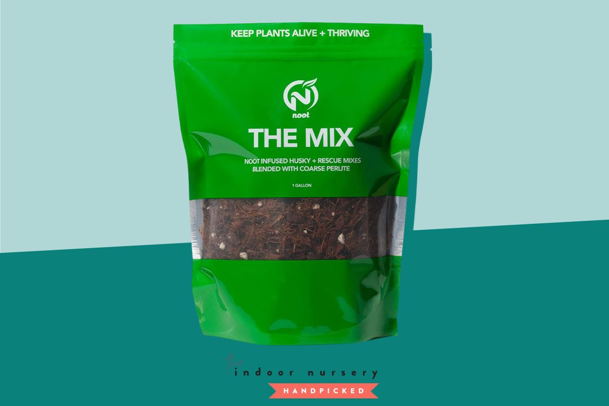 The best soilless potting mix for happy plant roots