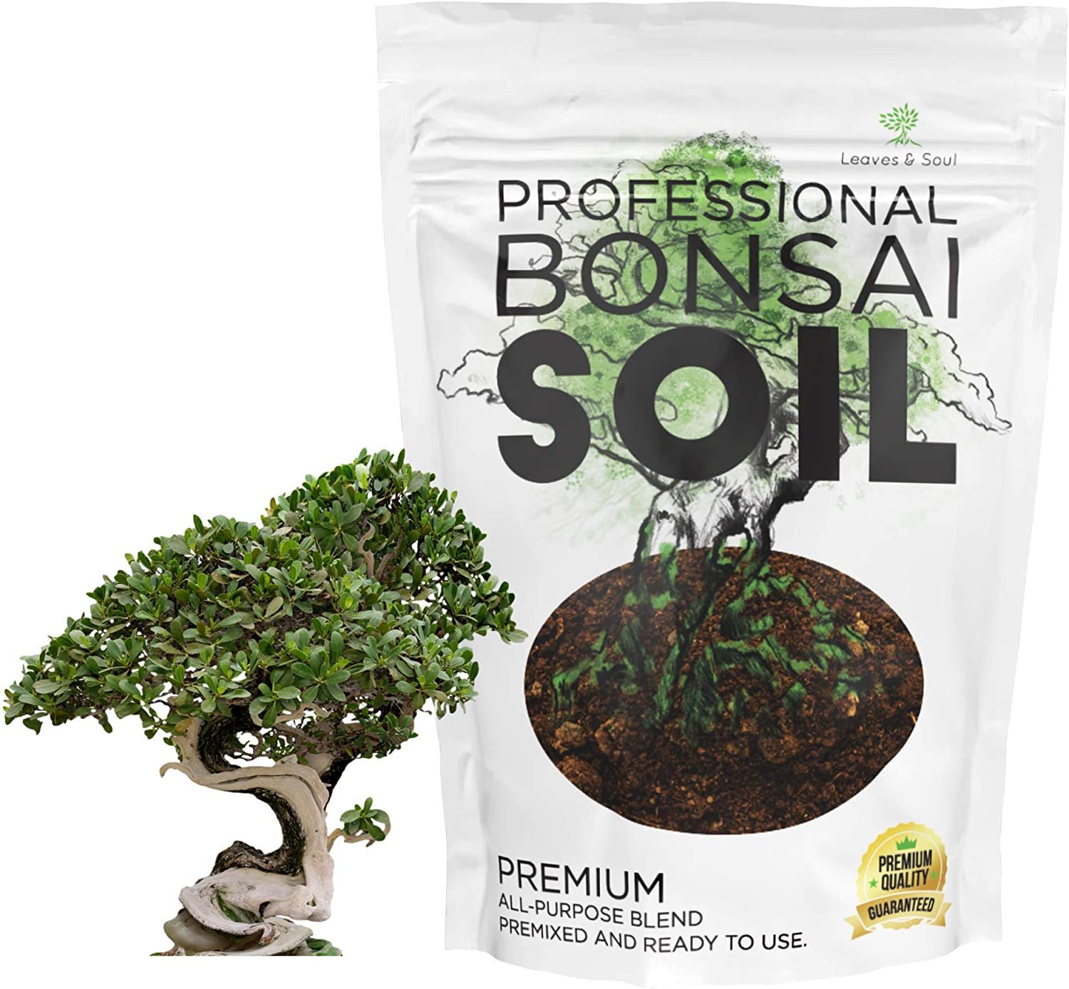 how to choose the right bonsai soil