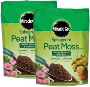 sphagnum peat moss