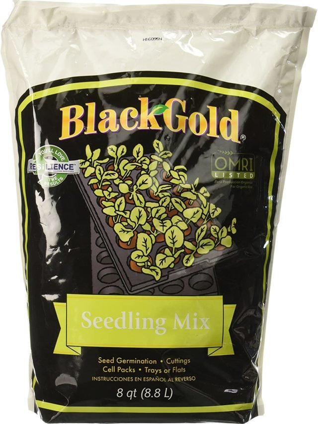 The best soilless potting mix for happy plant roots