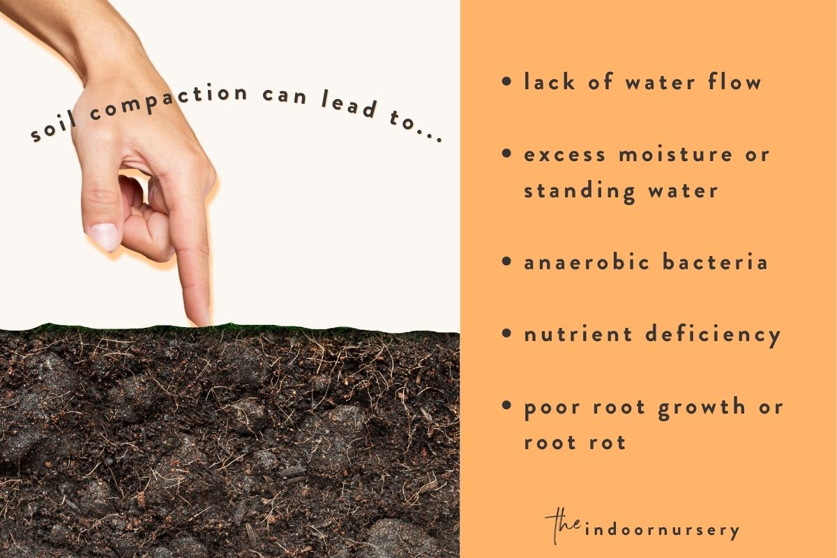 What is compacted soil and what risks does it cause