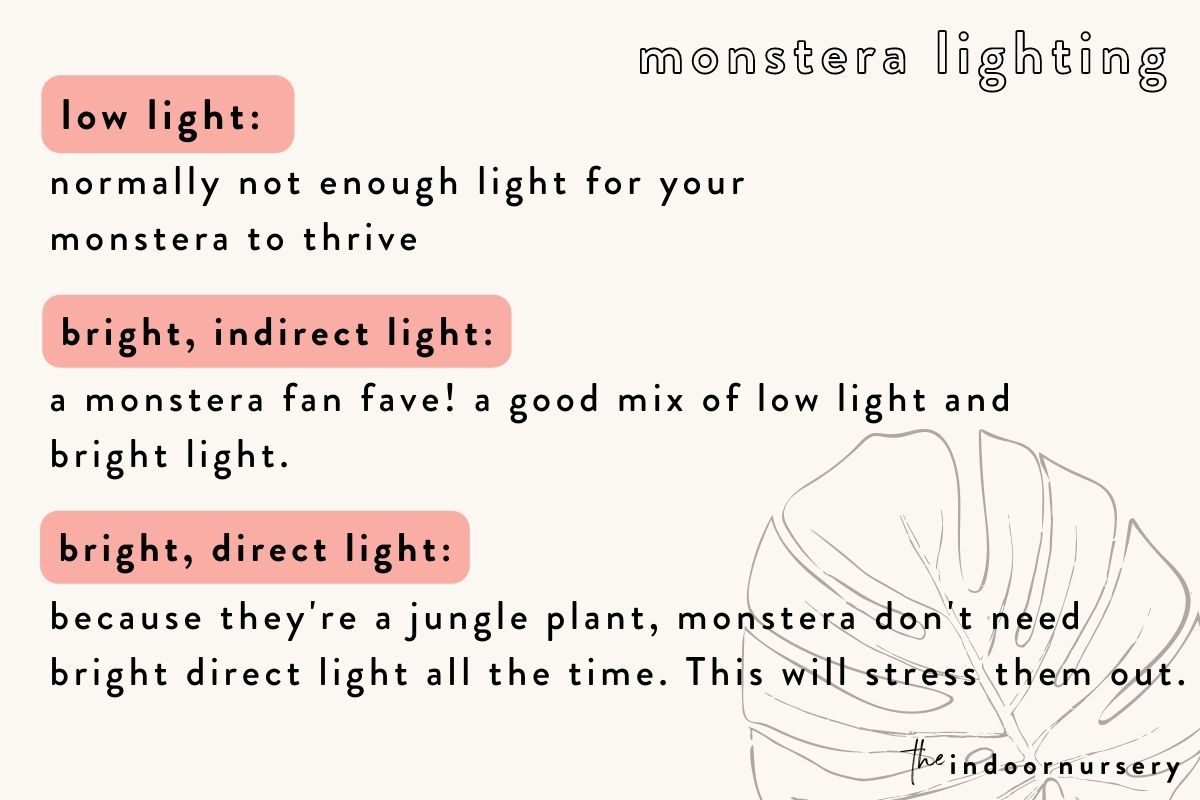 how monstera reacts to different lighting