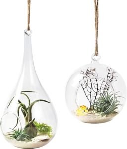 Glass Hanging Planter Air Fern Holder