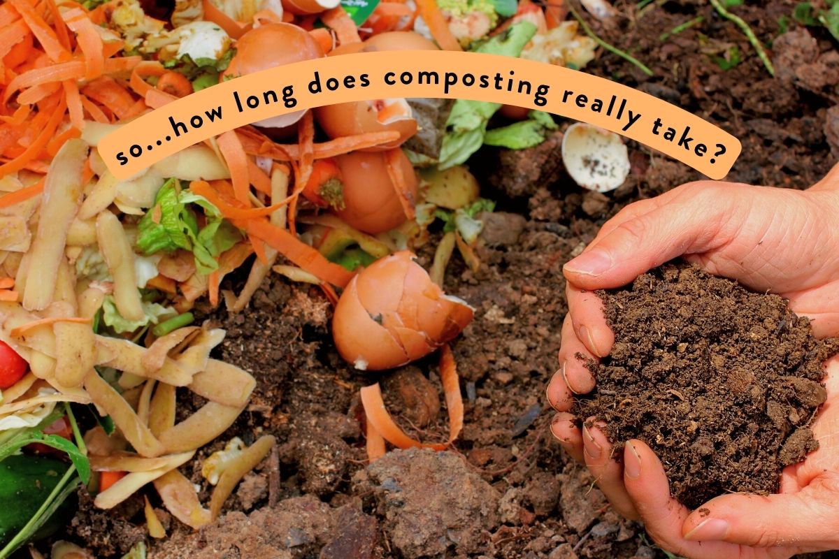 how long does compost take to turn into nutritious soil? it depends