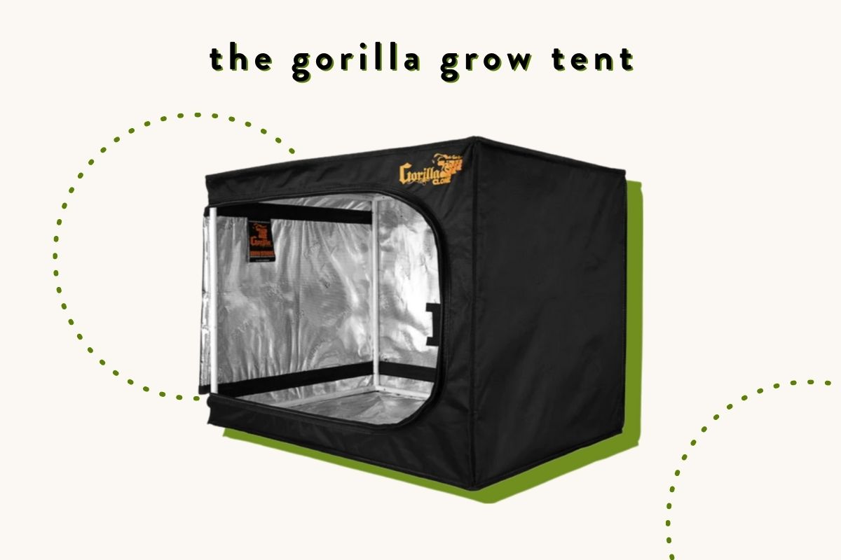 our verdict on the gorilla grow tent
