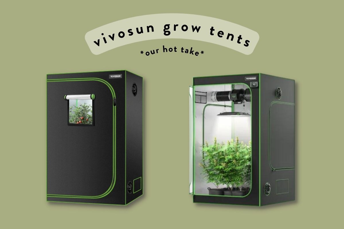 Vivosun Grow Tent Review: Our Hot Take