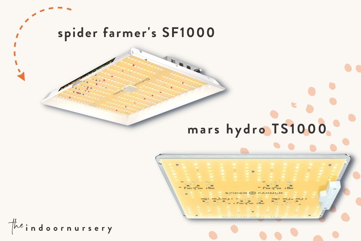  Spider Farmer SF1000 vs Mars Hydro TS1000