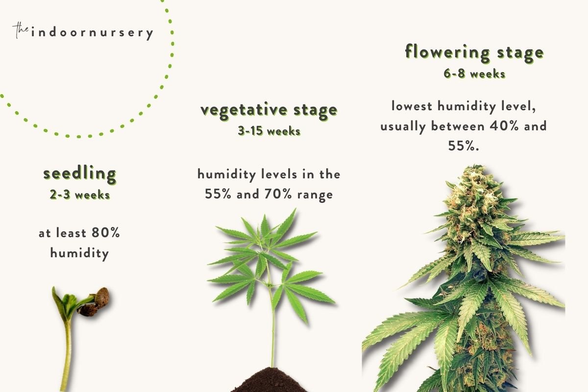 humidity needs of plants