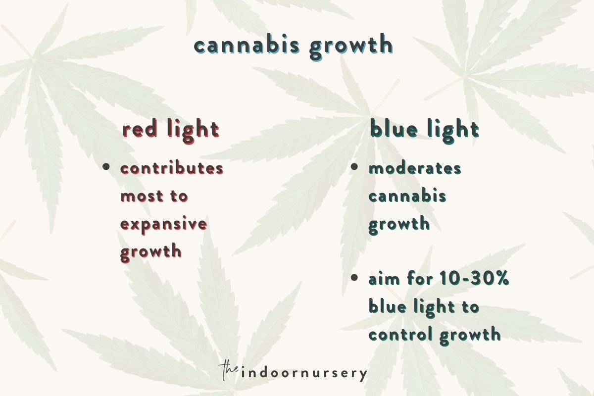 What colors of light can make plants grow faster