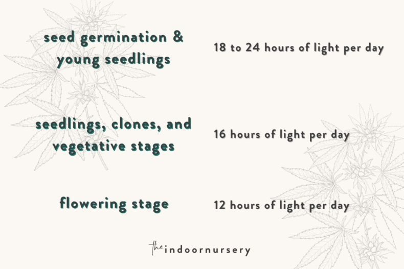 grow lamps 101 purple grow light vs white light