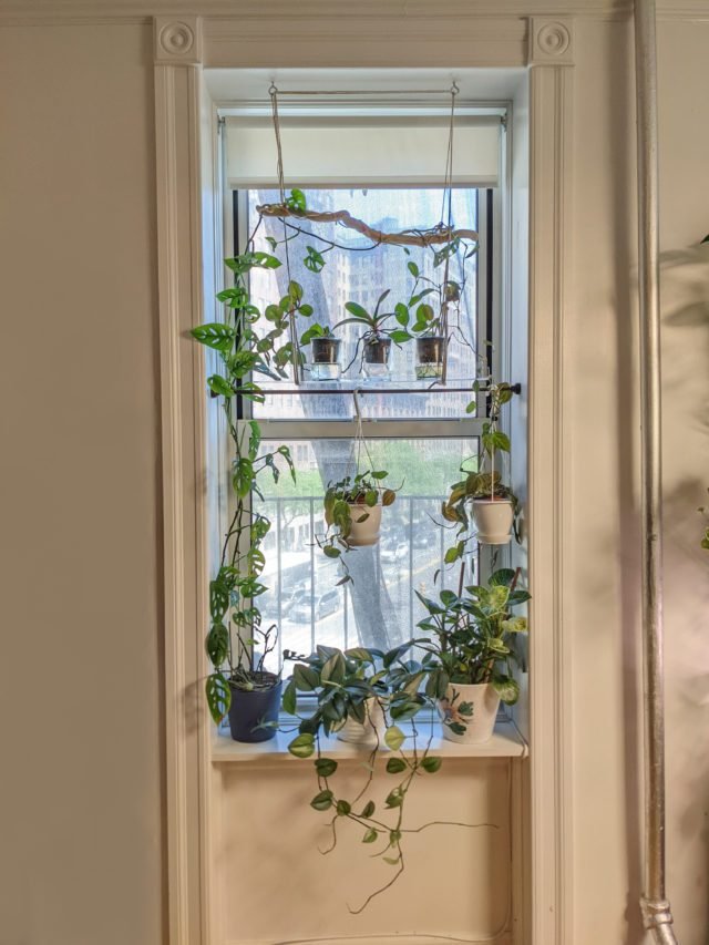 DIY how to make a window shelf for plants