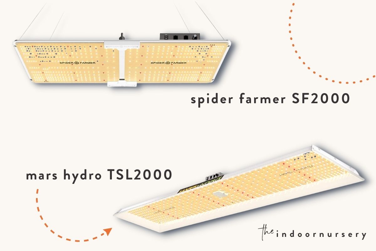 Spider Farmer SF2000 vs Mars Hydro TSL2000