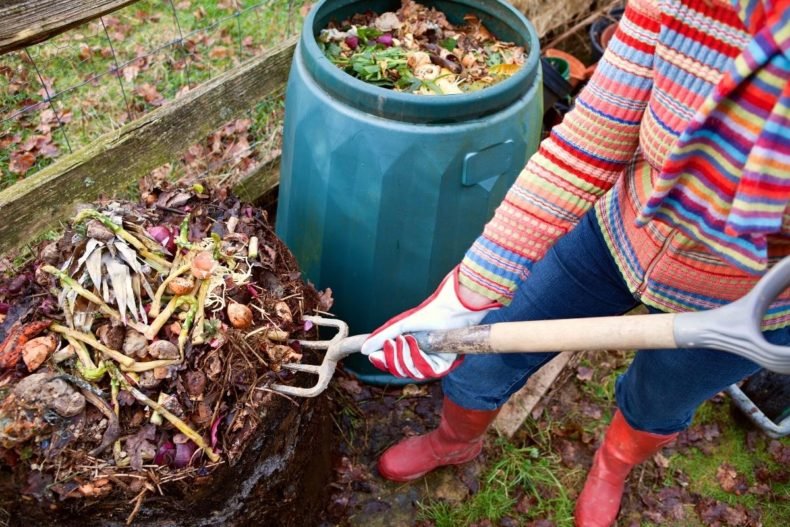 how-to-use-compost-accelerator-for-faster-composting