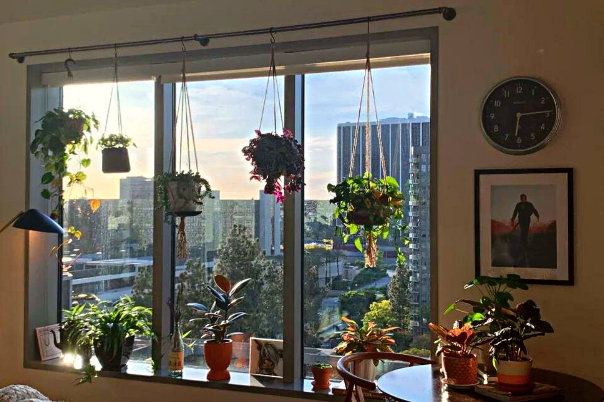 how to hang a window shelf for plants