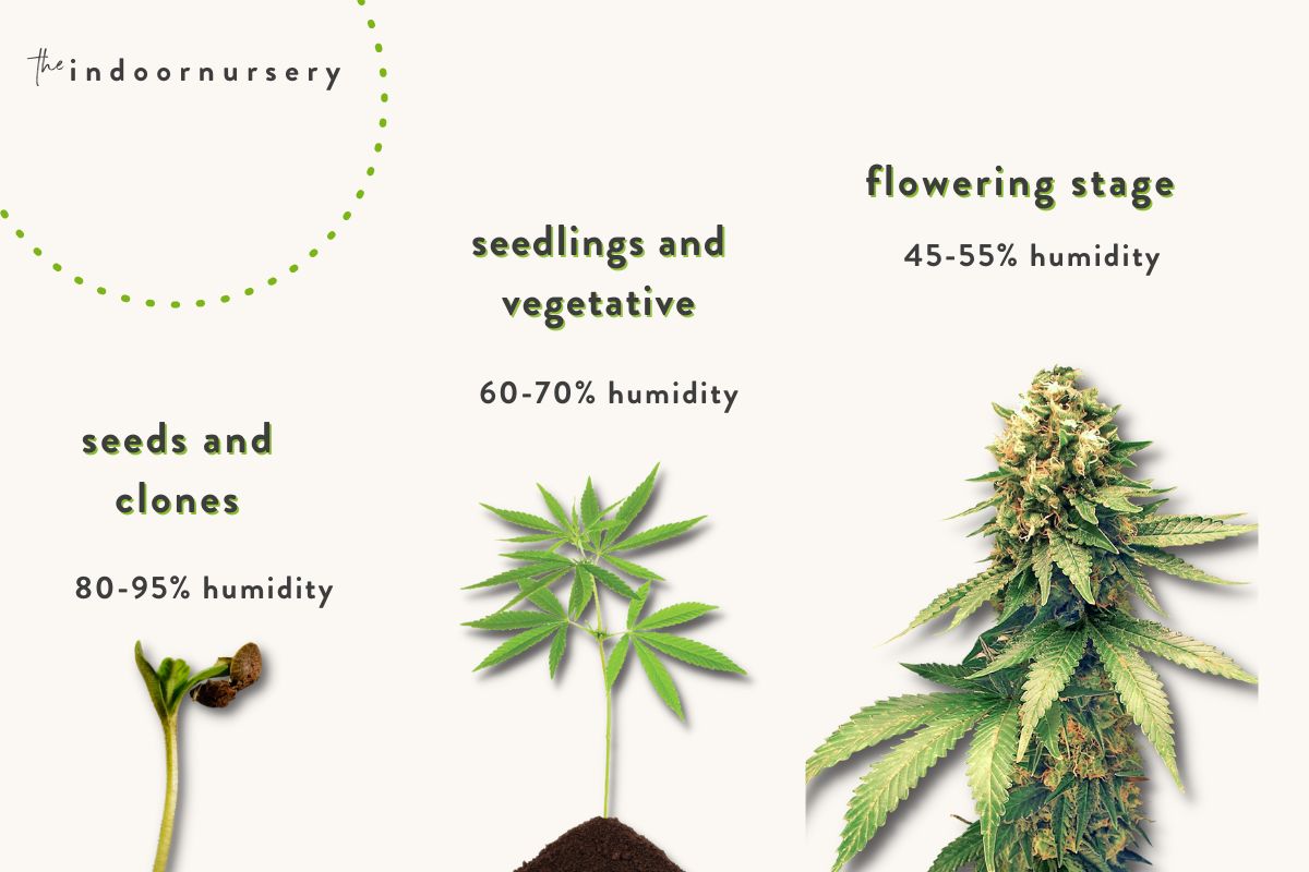 humidity for cannabis