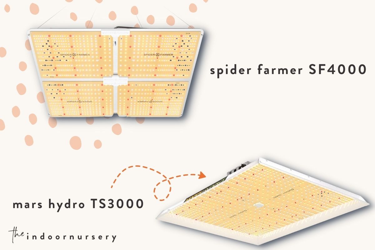 Spider Farmer SF4000 vs Mars Hydro TS3000