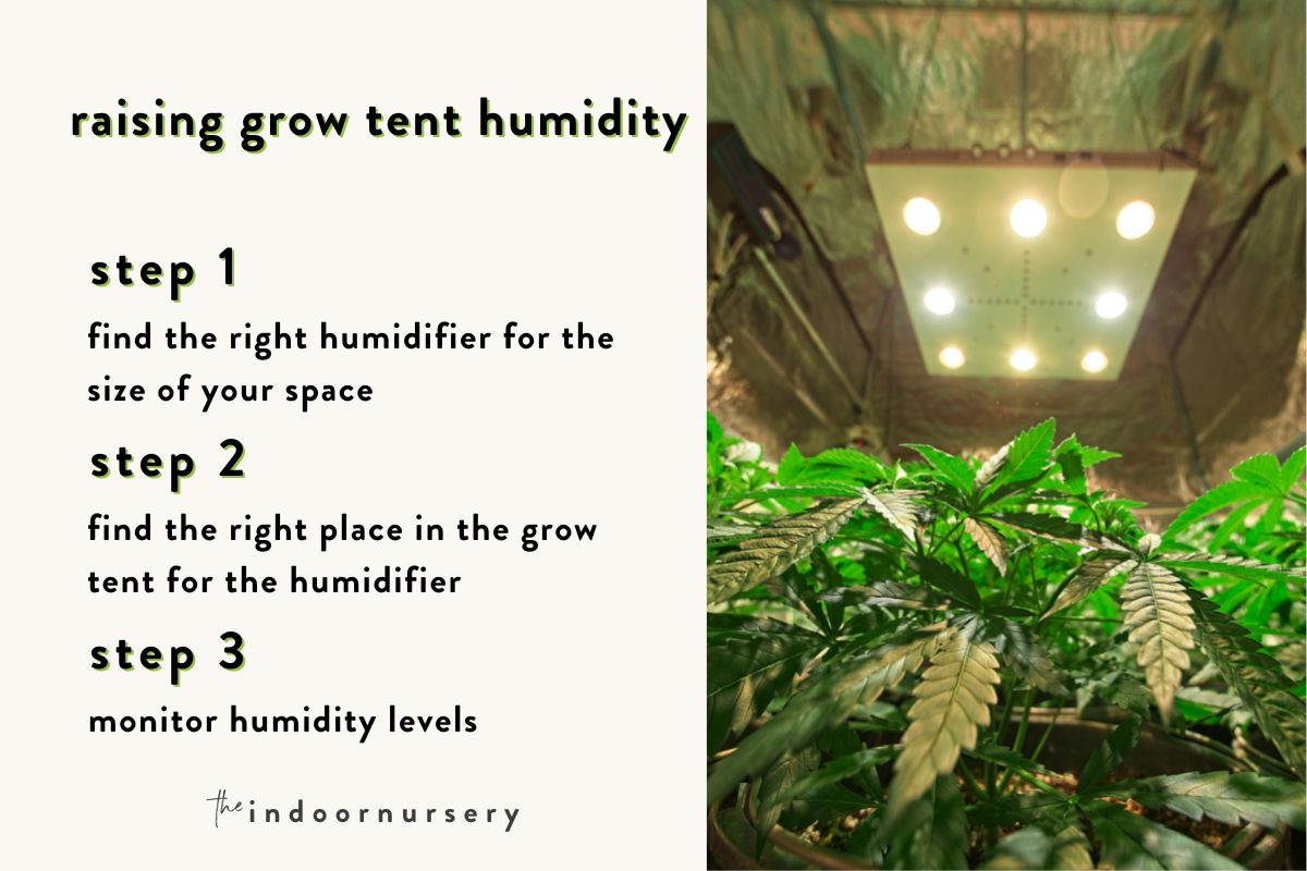  how to raise humidity in grow tent with a humidifier
